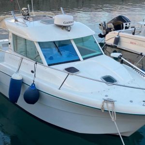 JEANNEAU MERRY FISHER 695 + FPT S30 175 CV
